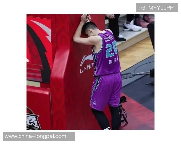 陶汉林：从篮球场上的奋斗者到社会公益的践行者的成长之路