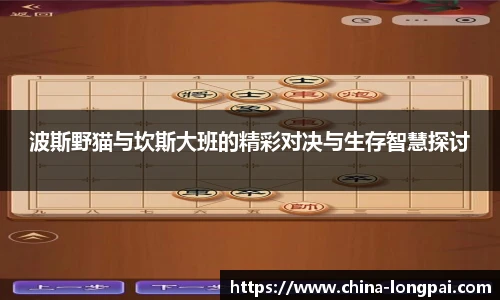 波斯野猫与坎斯大班的精彩对决与生存智慧探讨